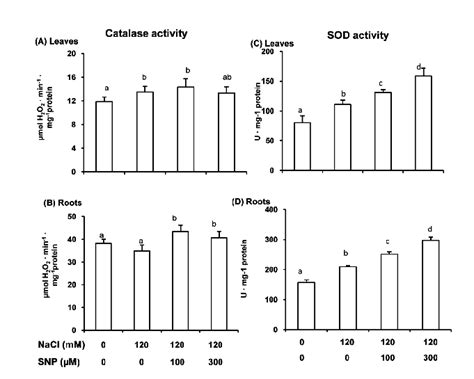 Catalase And Superoxide Dismutase Sod Activities In Leaves And Roots