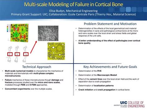 Ppt Multi Scale Modeling Of Failure In Cortical Bone Powerpoint