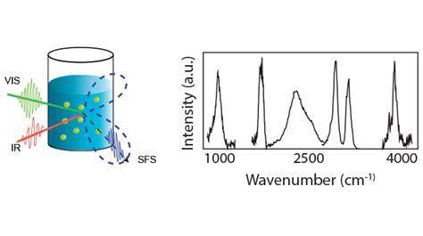 Surface Chemistry in Solution | ORYL Photonics