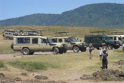 Tripadvisor 3 tägige Taste of Tansania Safari Tarangire Nationalpark