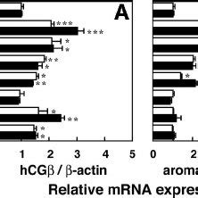 Effects Of Tin Compounds On The MRNA Expression Of HCG A C And E