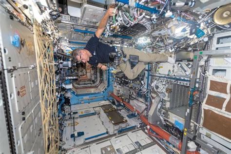 En Fotos Cómo Es El Sorprendente Interior De La Estación Espacial Internacional La Nacion