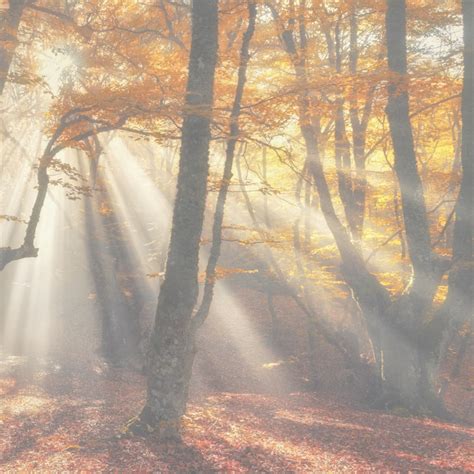 Veel Liefs Herfst Wenskaarten Kaartje2go