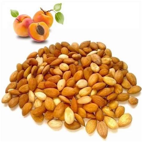 Apricot Kernel Wholesale Price Mandi Rate For Apricot Nuts In India