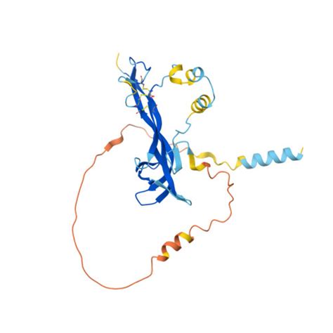 Rcsb Pdb Af Afp F Computed Structure Model Of Brain Derived