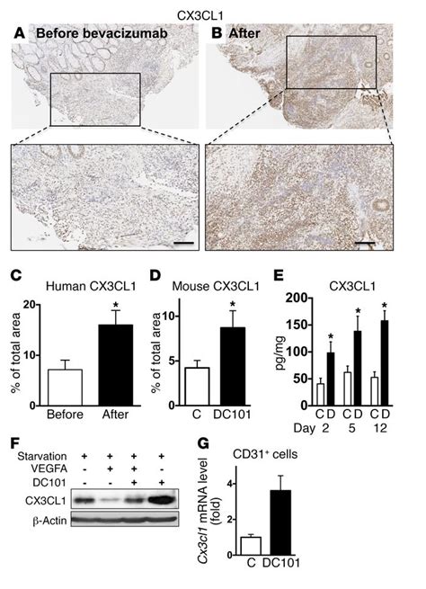 JCI Ly6Clo Monocytes Drive Immunosuppression And Confer Resistance To