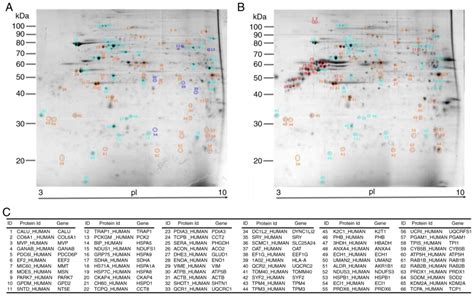 Principal Component Analysis On LCMS MS And 2DEMALDITOF In