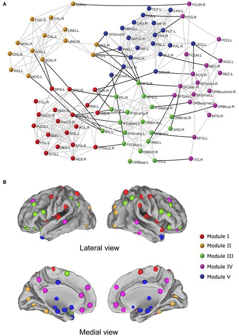 Frontiers Graph Based Network Analysis Of Resting State Functional Mri