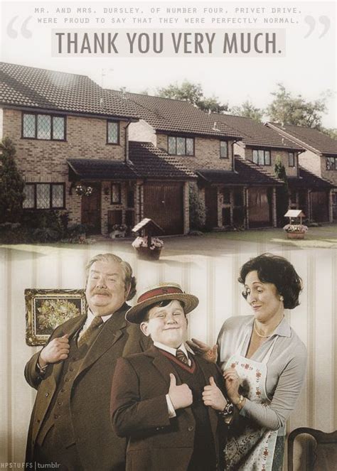 Mr. & Mrs. Dursley & Vernon | Harry potter, Harry potter love, Harry ...