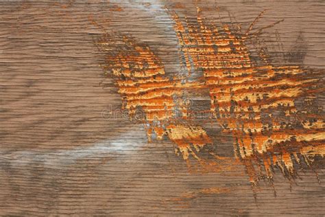 Scratches on wood stock photo. Image of exterior, paint - 2809274