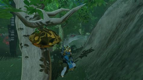 Where To Find Courser Bee Honey In Zelda Tears Of The Kingdom