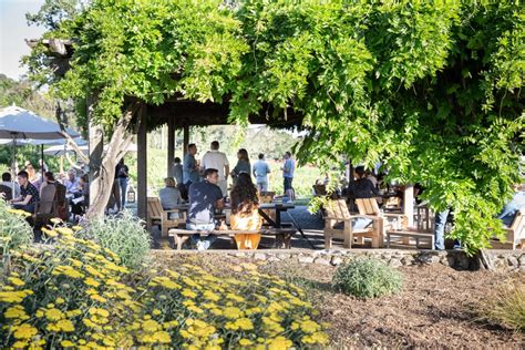 9 Fantastic Sonoma Winery Tours Sonoma