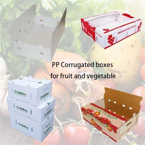 Factory Direct PP Coroplast Correx Turnover Fruit Packaging Box