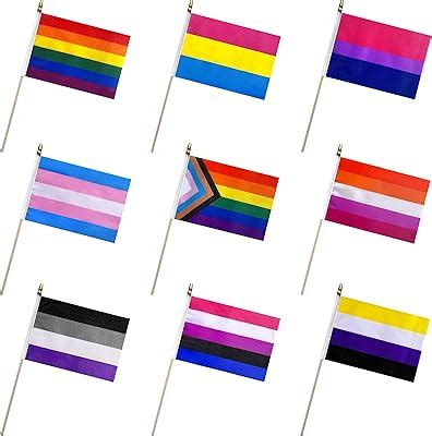 Amazon Pcs Rainbow Pride Flag Set Small Mini Gay Stick Flags Hand Held Pansexual