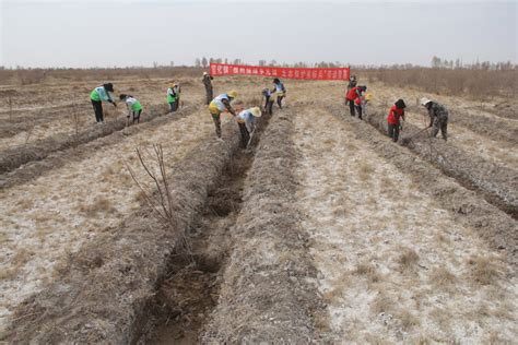 三抓三促”行动进行时】宣化镇：又是一年好春光 劳动竞赛植新绿 高台县人民政府门户网站