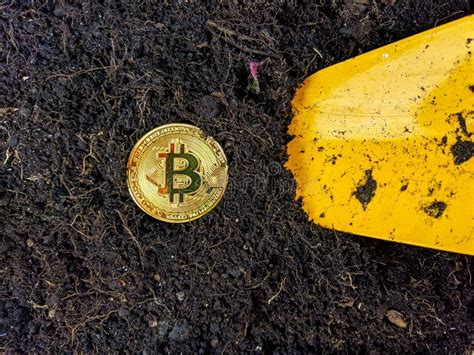 Top View Of Golden Bitcoin In The Soil Representing Digging And Mining