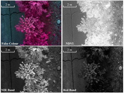 Multispectral camera images taken by the drone. | Download Scientific ...