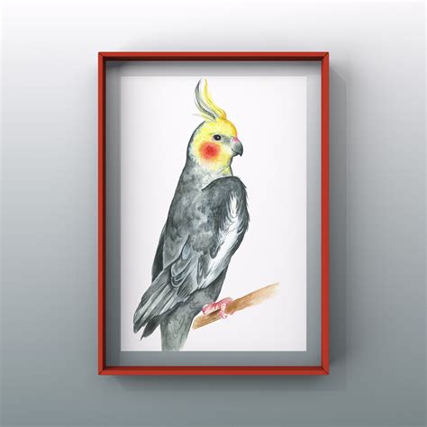 Art Print With Parrot Parrot Poster Parrot Wall Art For Etsy