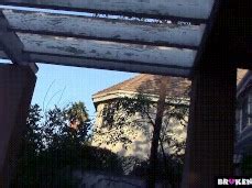 Titz Mcgee Porn Pornhub
