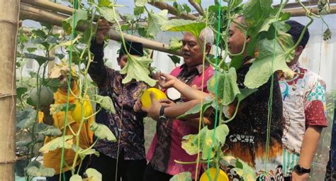 Nawa Karsa Gresik Agropolitan Sukses Tingkatkan Produktivitas Dan