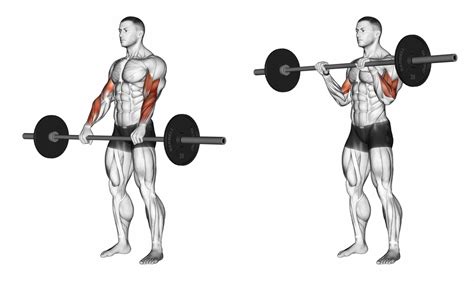 Barbell Curl Grip Variations - Ignore Limits