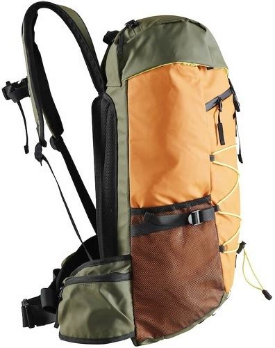 Craft Adv Entity Travel Backpack 40 L Colizey