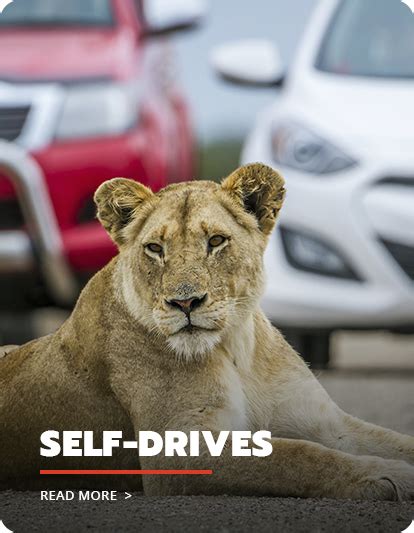 Lion And Safari Park Attractions