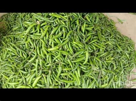 Today S Vegetables Rates At Chikkaballapura Vegetables Market 14 04 24