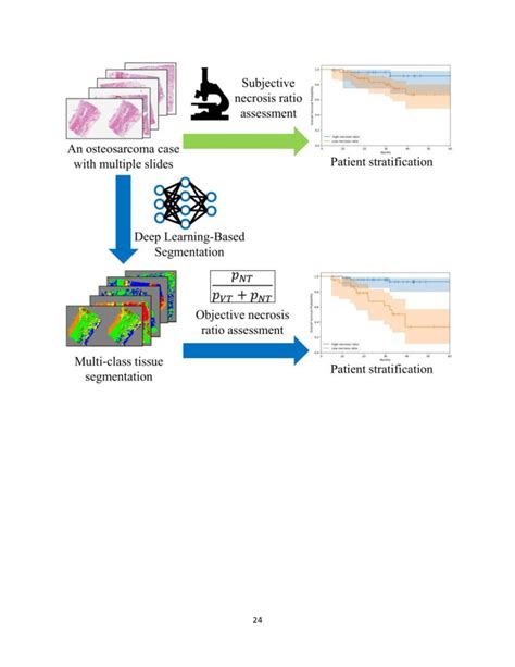 Deep Learning Based Objective And Reproducible Osteosarcoma Chemotherapy Response Assessment And