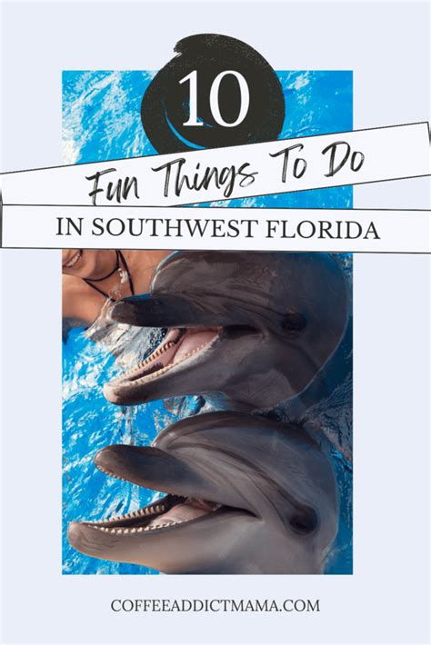 Southwest Florida Travel Guide | Fun Things To Do