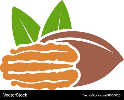 Pecan Vector