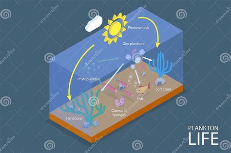 3D Isometric Flat Vector Conceptual Illustration of Plankton Life Stock Vector - Illustration of ...