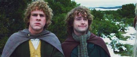 22 ‘fellowship Of The Ring Quotes That Are Better Than Second