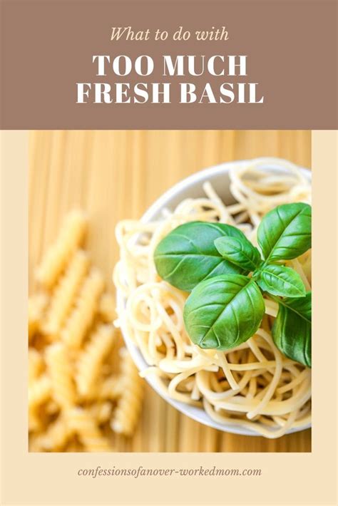 What To Do With Fresh Basil During The Summer Time Fresh Basil