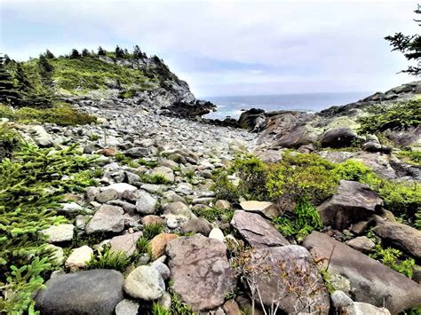 Discover The Allure Charm Of Monhegan Island Maine