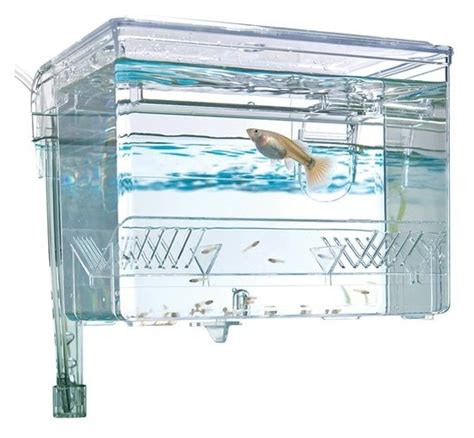 Fluval Caja De Cr A Miscota Espa A