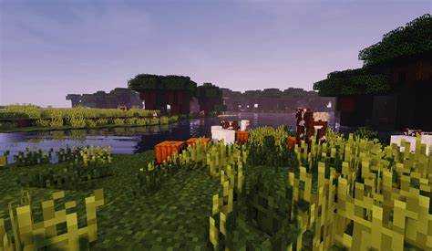 Most popular minecraft mod for performance and shaders - snonavi