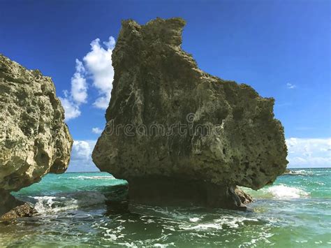 Attractions in Bermuda stock image. Image of attractions - 142505273