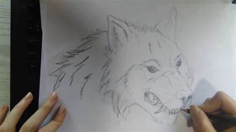 Wolf Art Drawing Crtamo Vuk Youtube