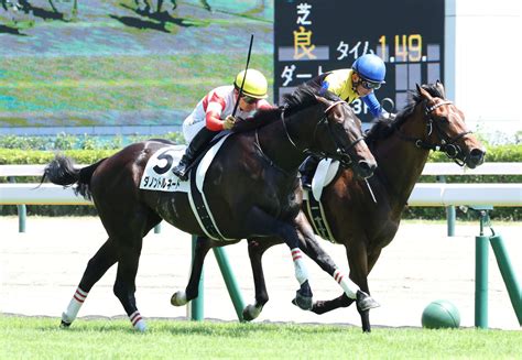 ダノントルネードが“億超え”対決でシャザーンに勝利 川田騎手「大きな鼻差でした」／新馬戦 2歳馬特集 競馬写真ニュース 日刊スポーツ