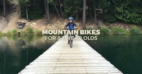 mountain bike    year  bikes budget