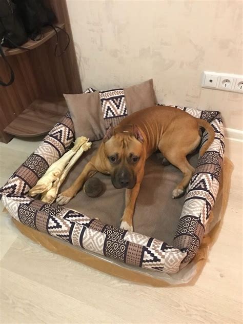 Лежаки для крупных собак | Журнал Ярмарки Мастеров