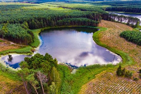 Lake In Tuchola Forests Poland Aerial View Stock Image Image Of