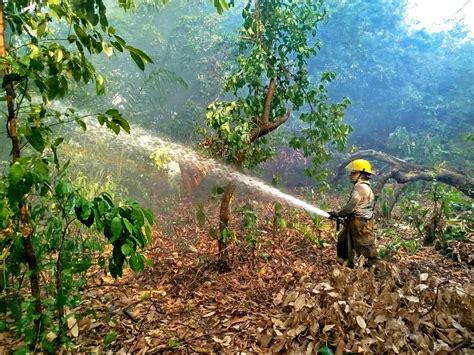 Sofoca Protecci N Civil De Tapachula Incendio En Pastizal Escena