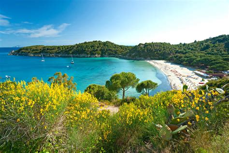 Les Plages De L Le Delbe Lastminute