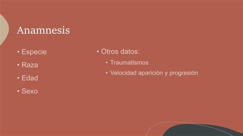 Diagnostico Diferencial Paraparesia Paraplejia PPT