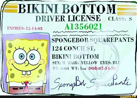 BIKINI BOTTOM DRIVER LICENSE Ctass EXPIRES Al SQUAREPANTS CONCH ST F
