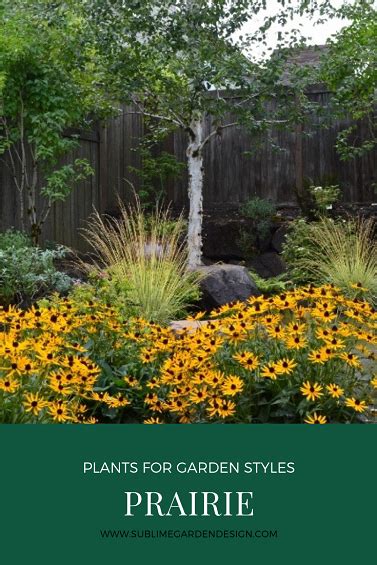 Plants for the prairie garden style – Artofit