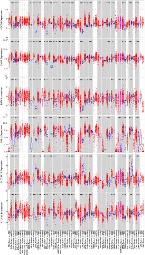 Pan Cancer Analysis Of Predicted Target Genes Pdcd Gng Phf Mal