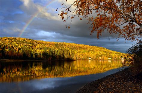 Fotos Gratis Paisaje árbol Naturaleza Montaña Planta Cielo